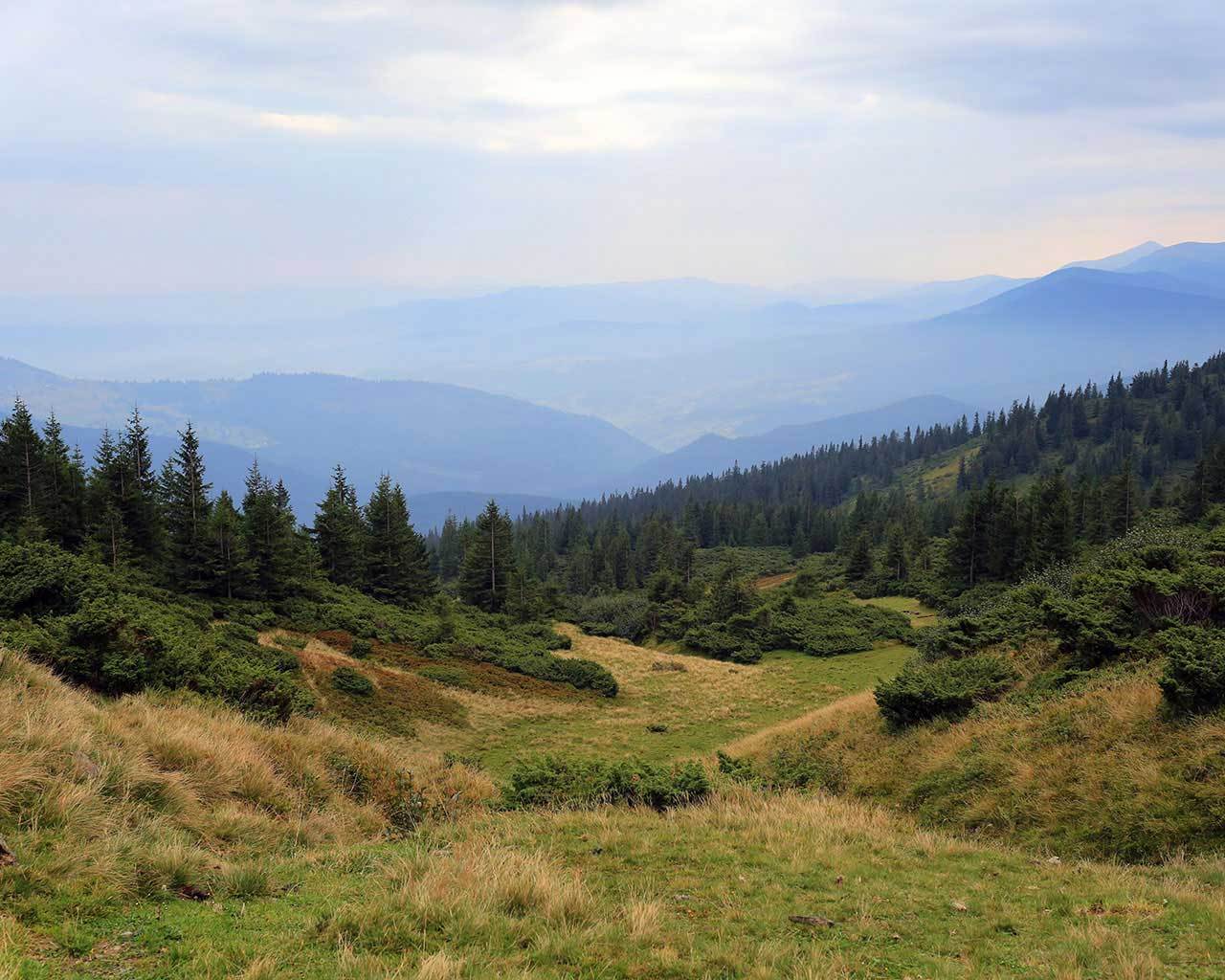 ������������� ������