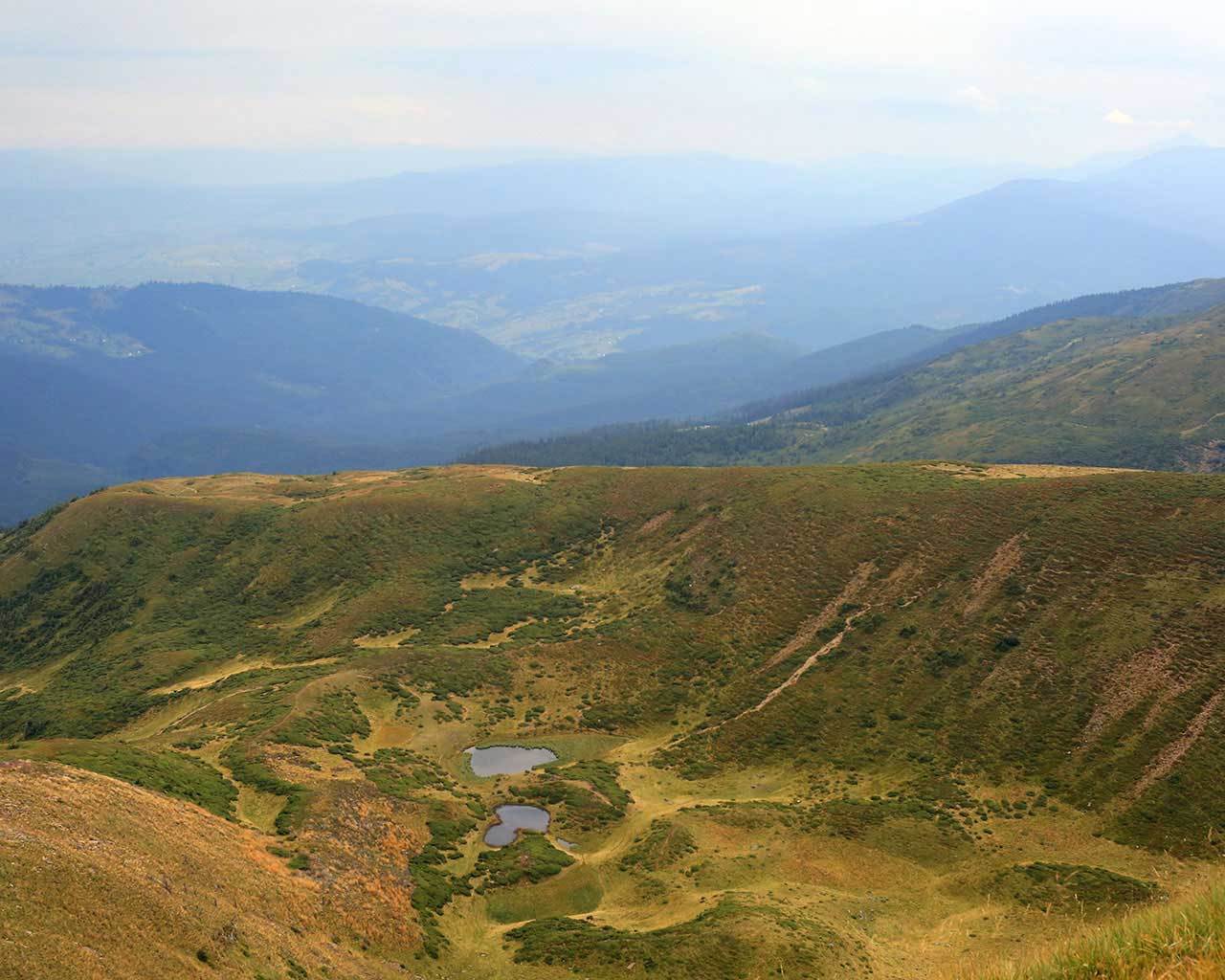 ������ �����