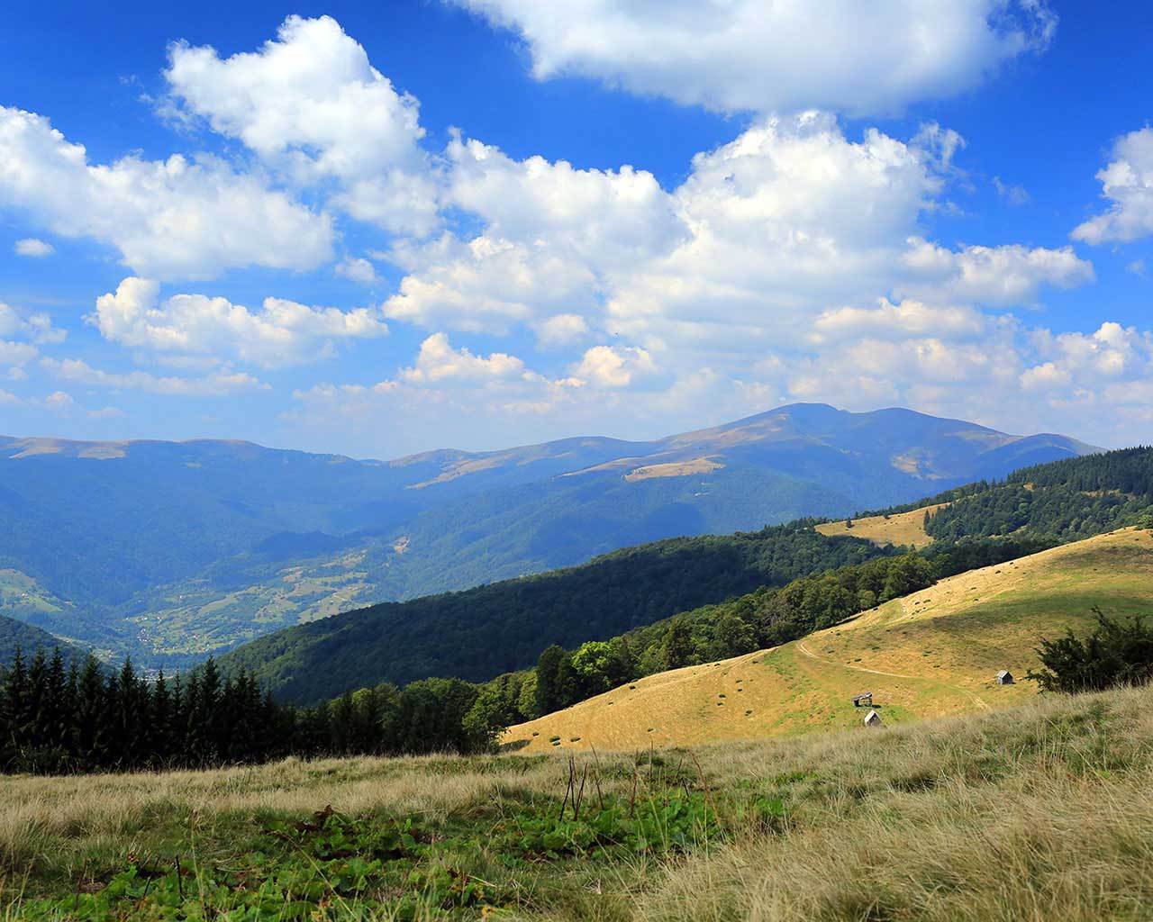 ������ ��� �� ��������