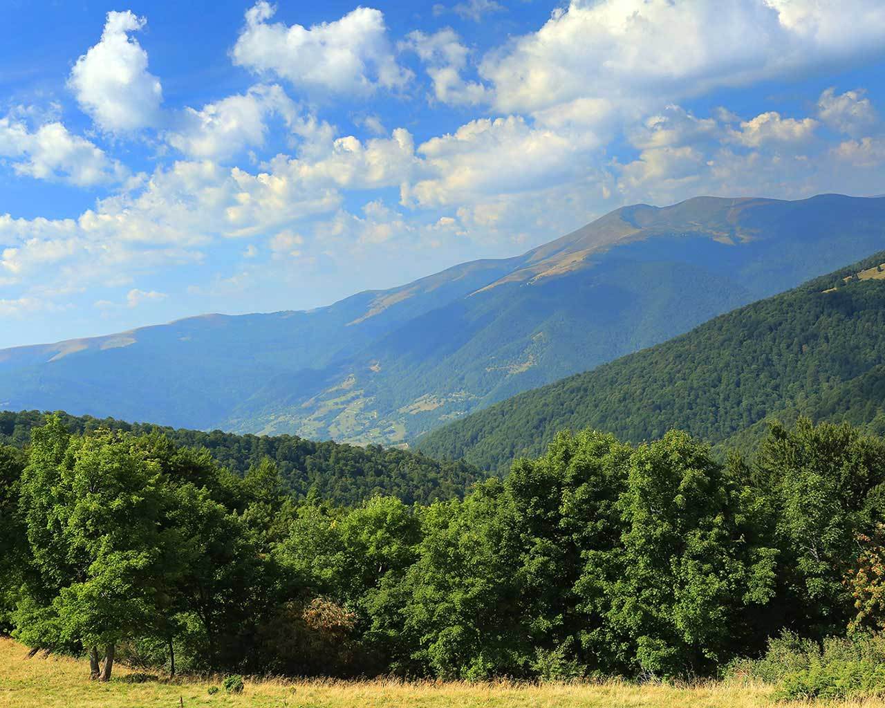 ��� �� ��������