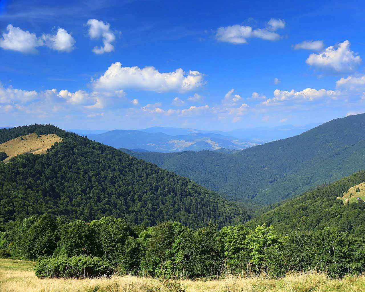 ���������� ������