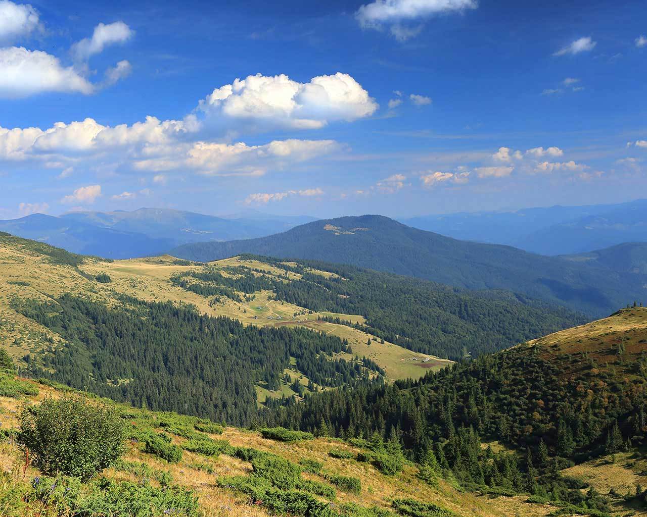 ������������ ������