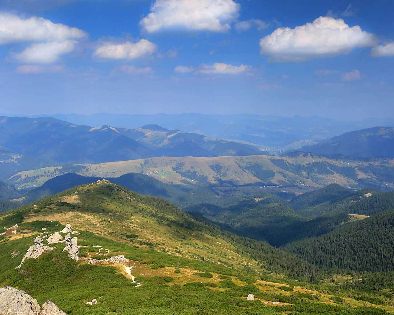 ������� ������ ������