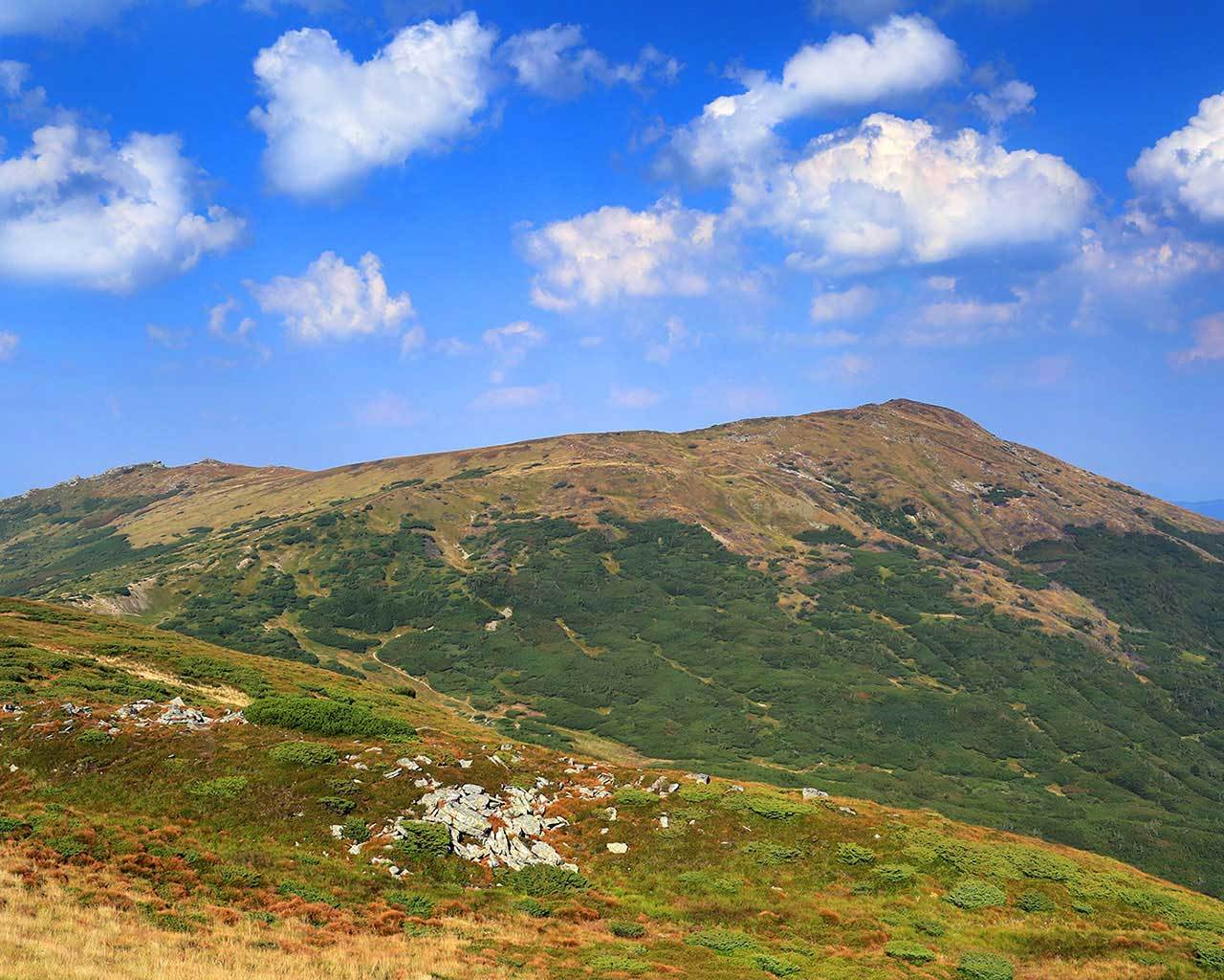 ������ � ����� �������