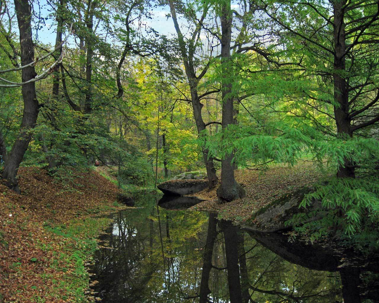 ����������. ��������. �����