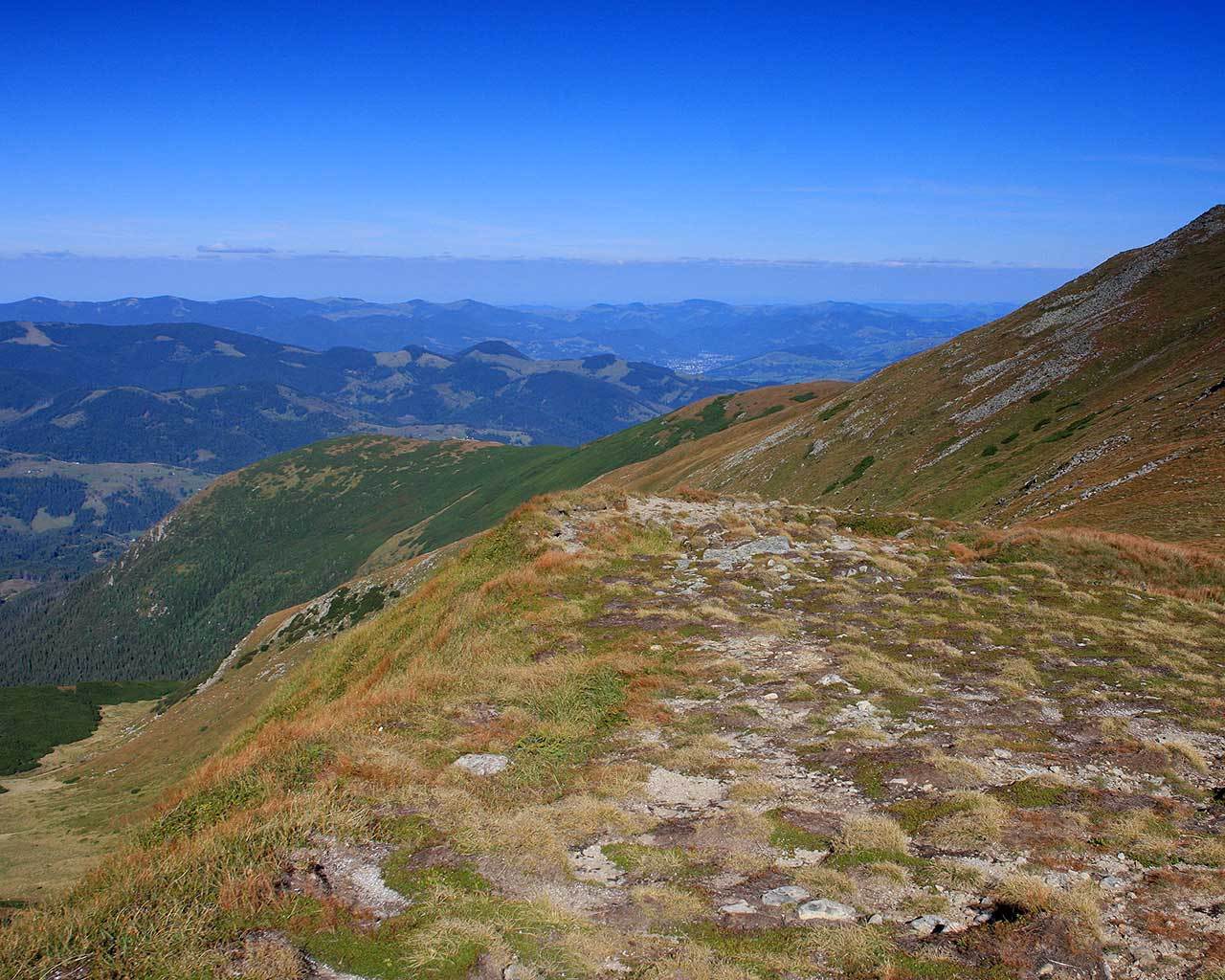 �������. ��������