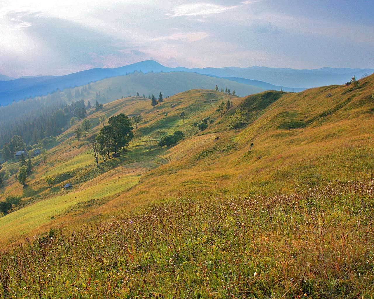 �������� � ��������