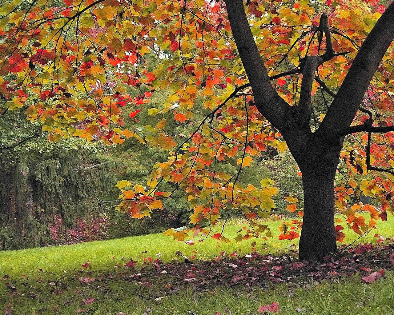 ��������. �����