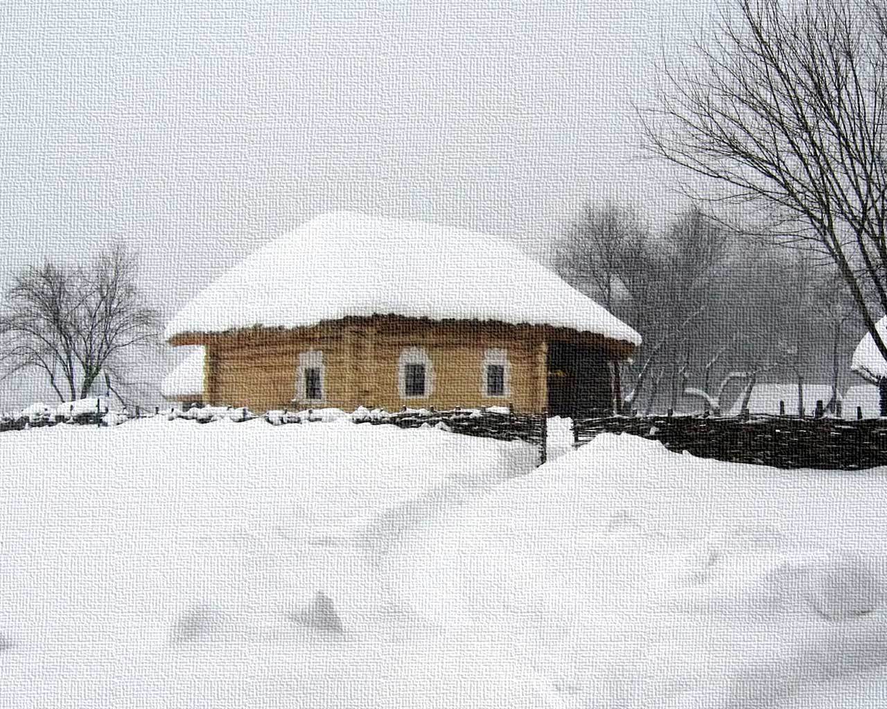 ���� �����