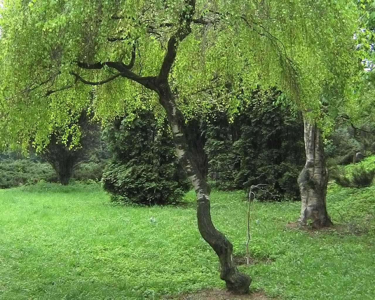 ���������� ������