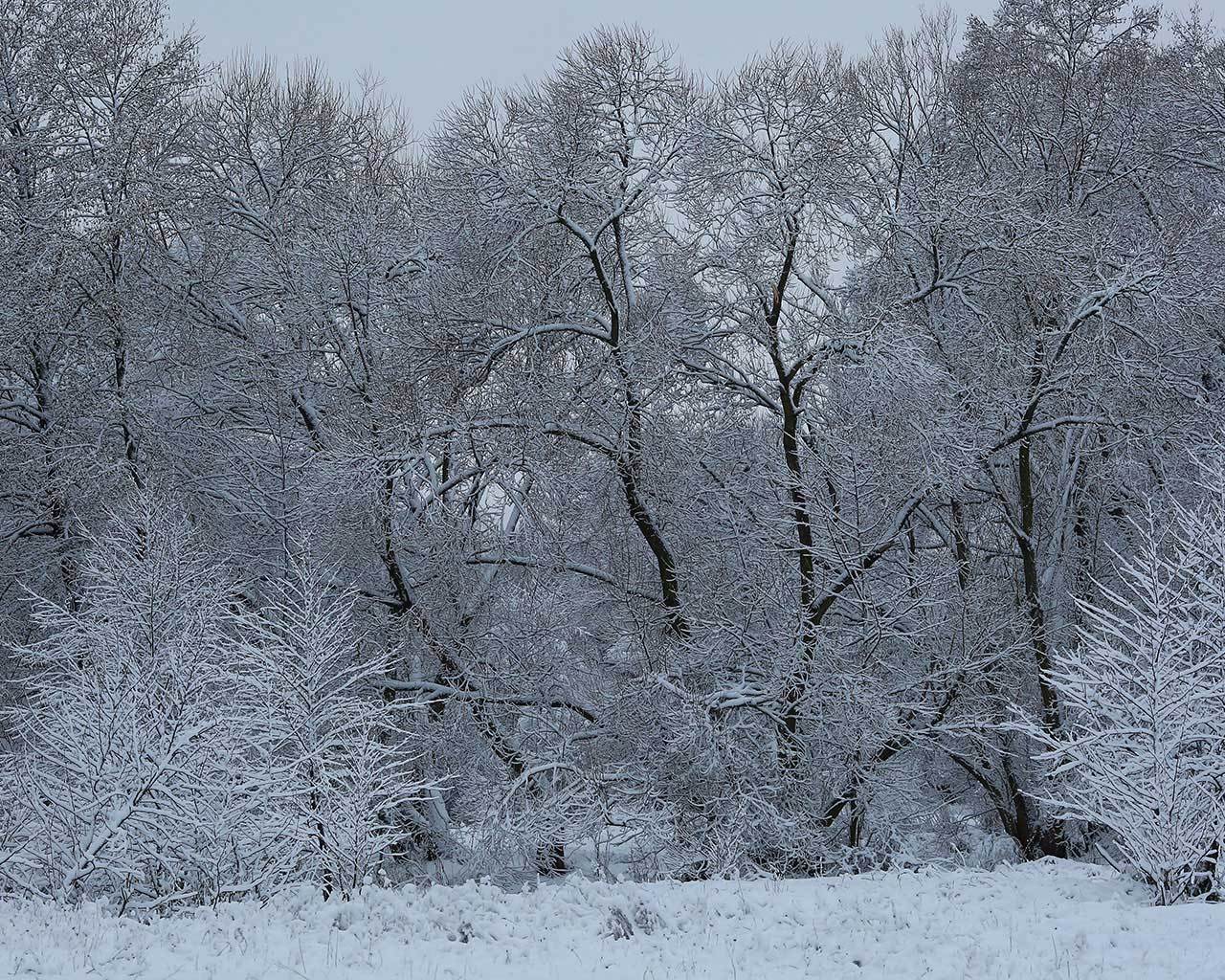 ���� � �����