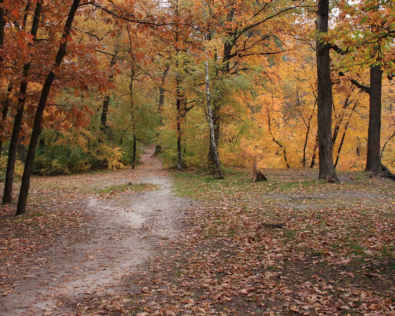 ����� � ����. �������� ��� �����