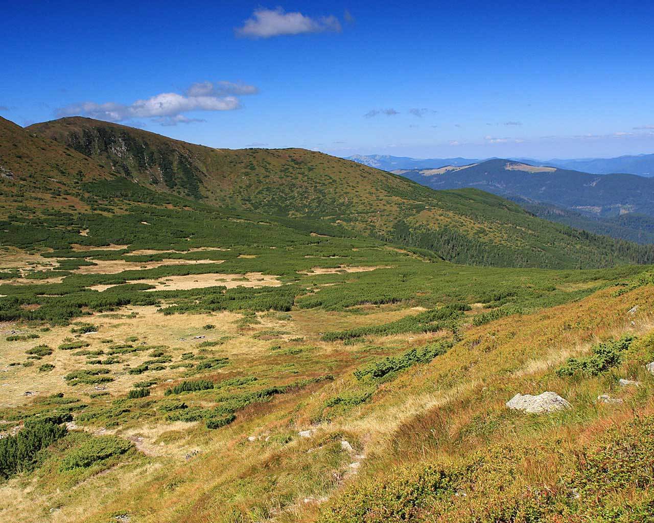 ������������ ������. ����