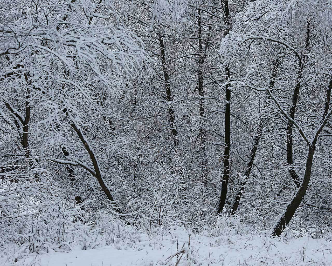 ������� � �����. ���� ��� �����