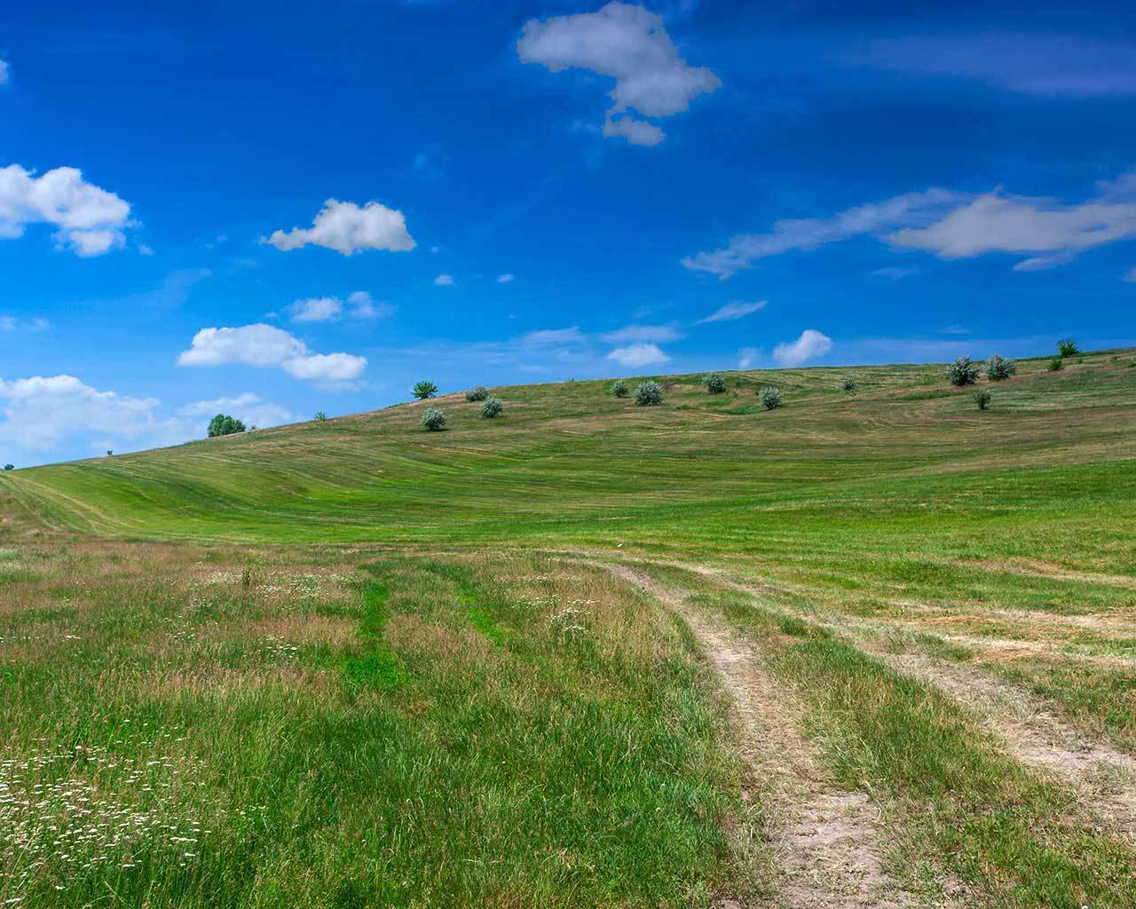 ����� � ��������