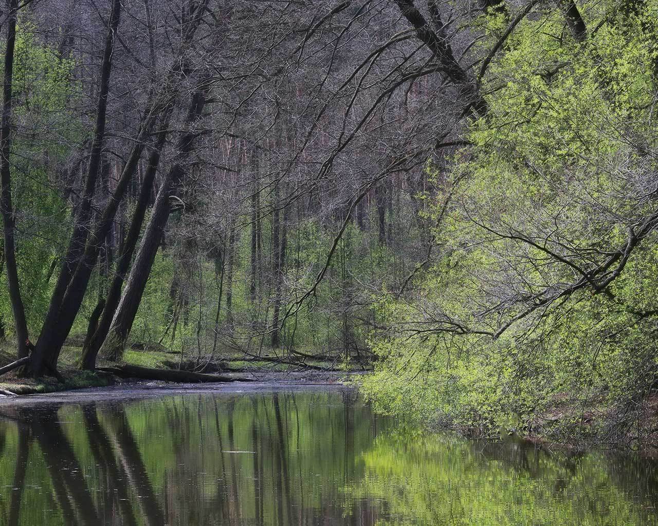 ����-������. ����