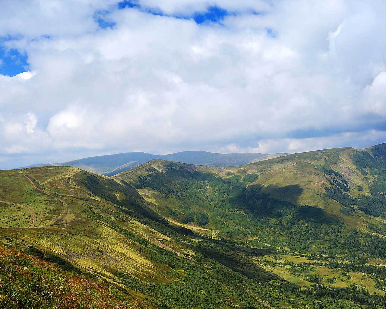 ����������� ������. ���� ��� �������� �����