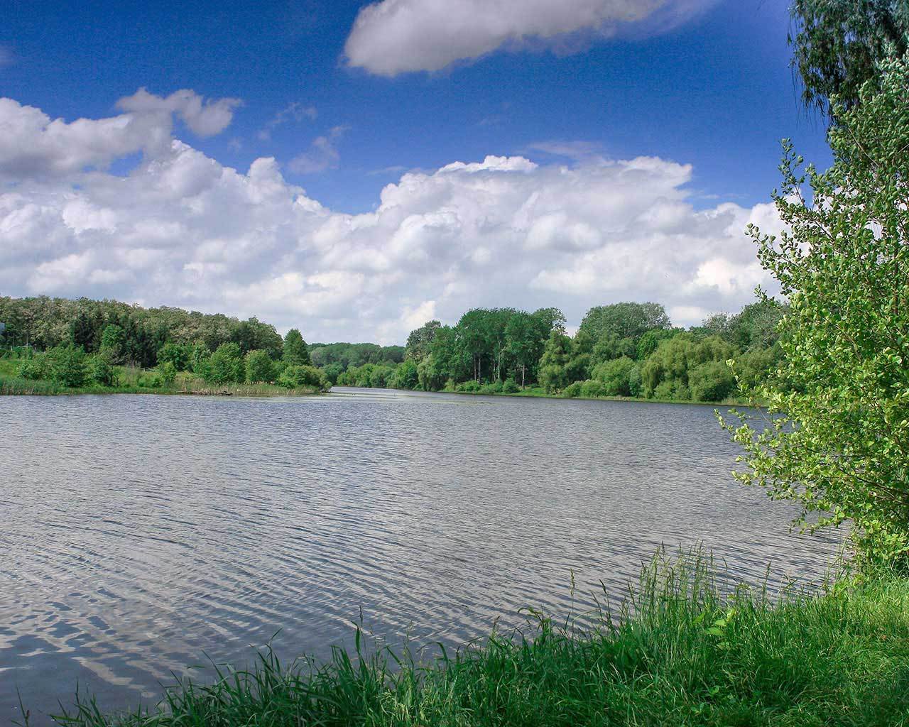 ���� � �����������