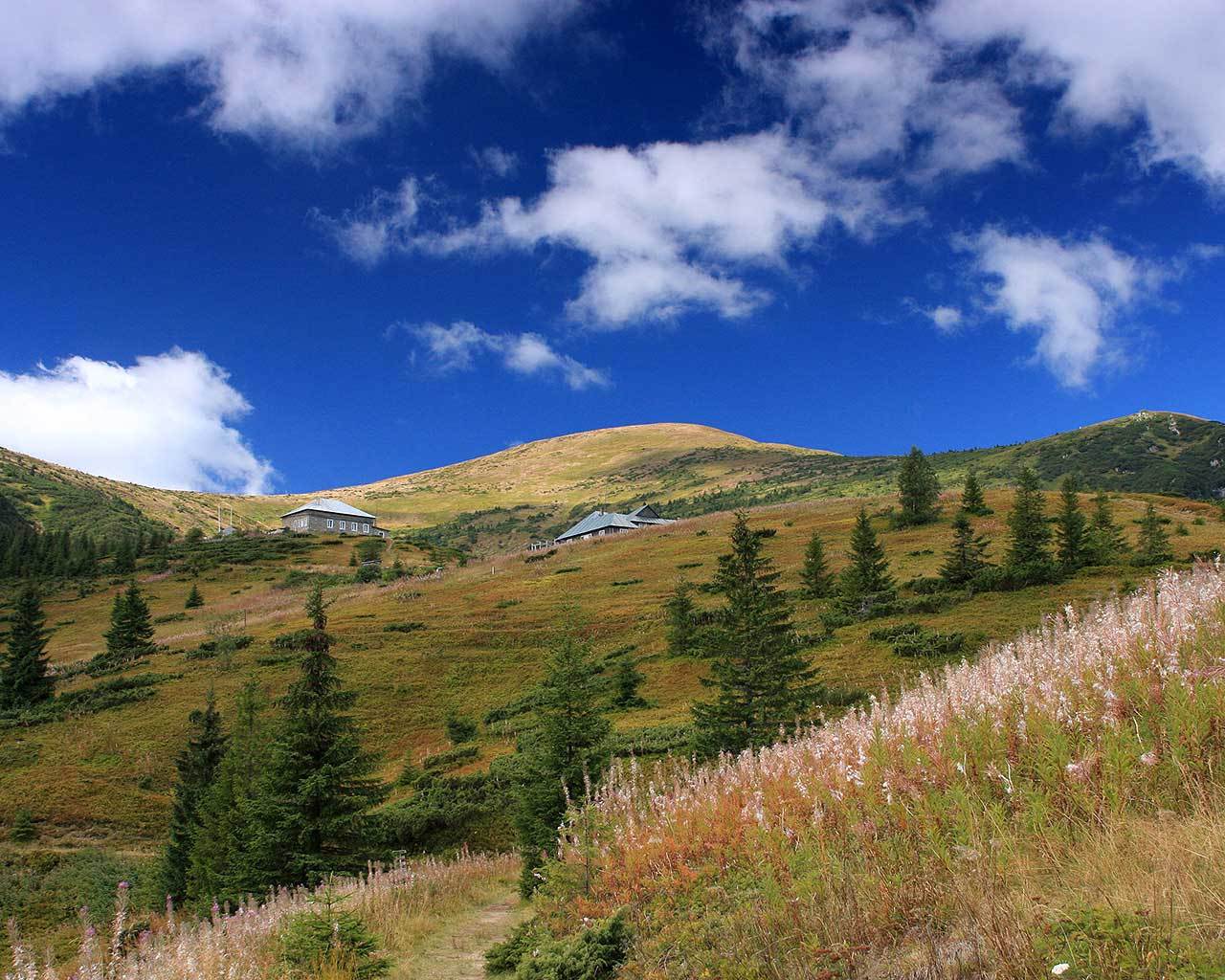 ������������ � ��������