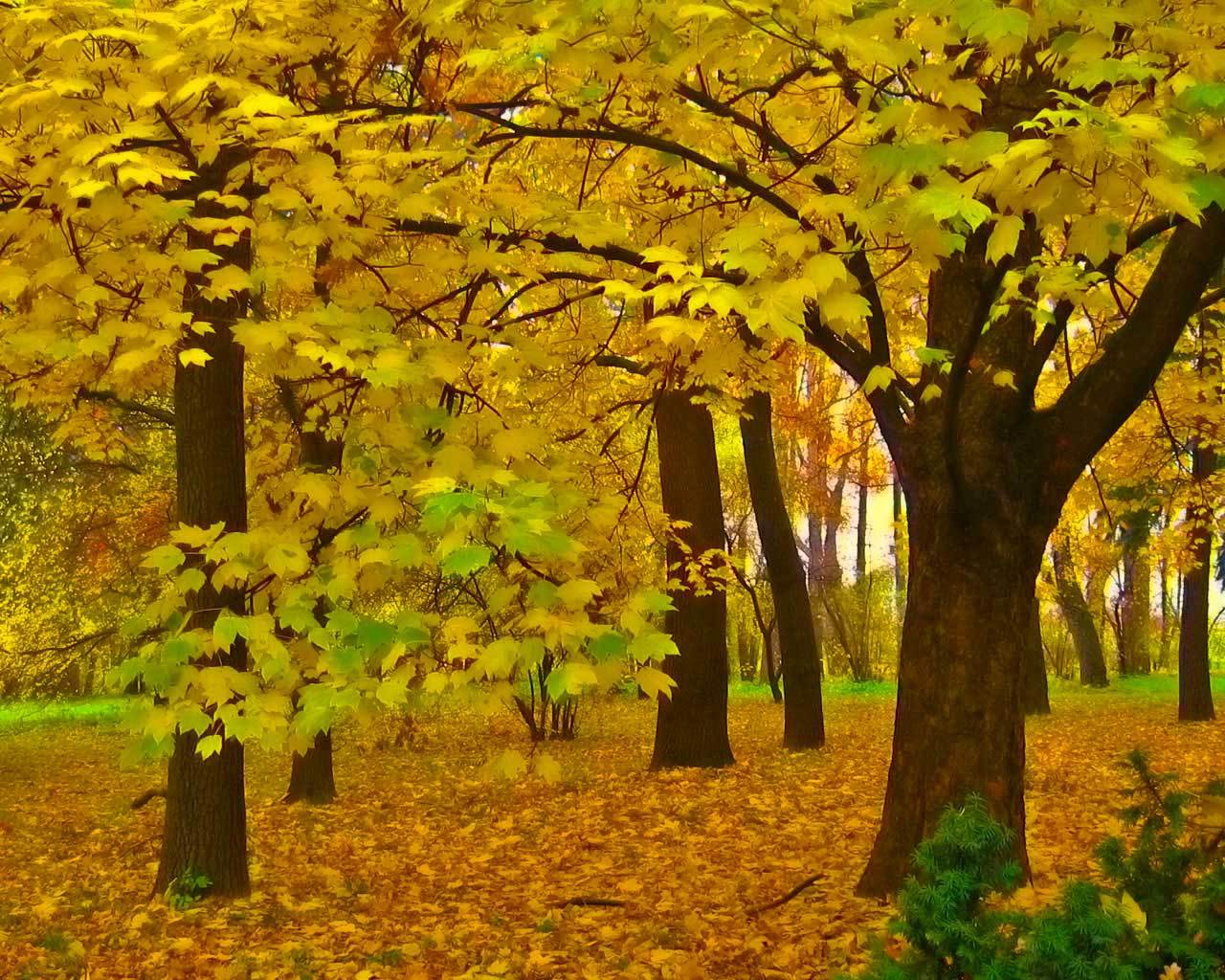 ������ � ����