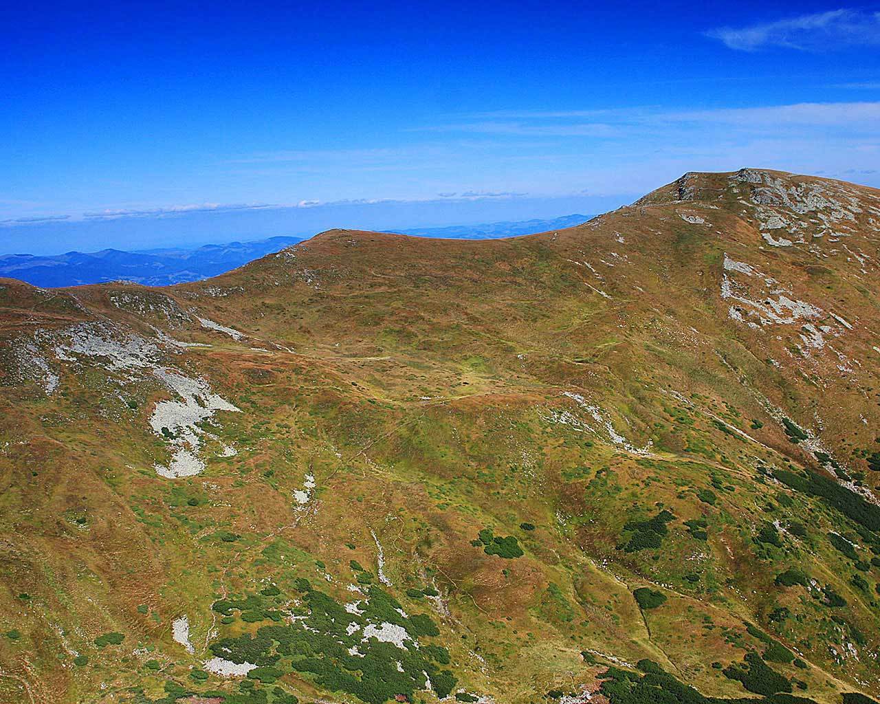 ������������ ������. ����