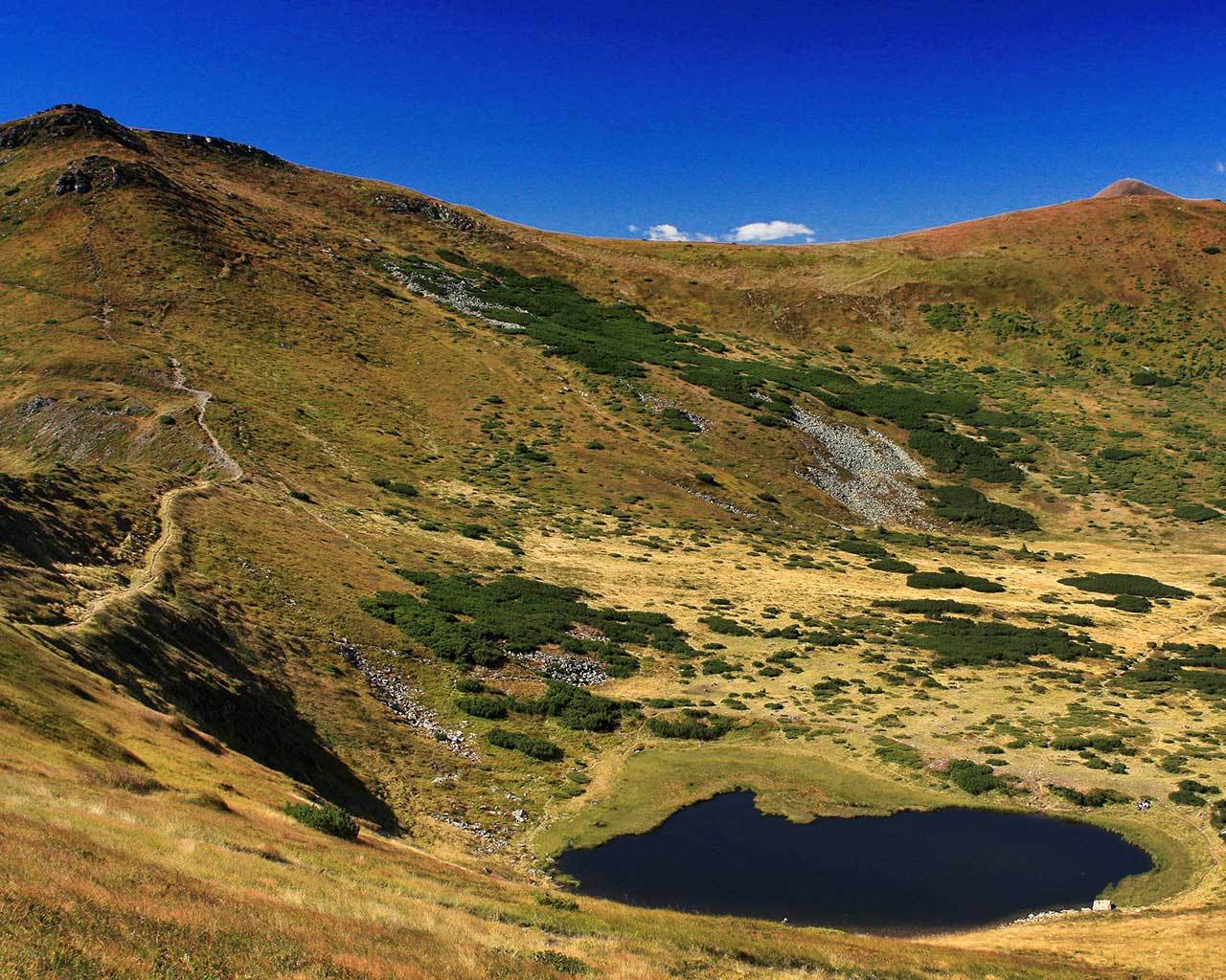 ����� ����������. ��������